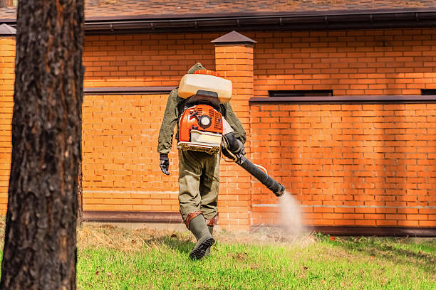Trusted Cockroach Control service in Keystone Heights, FL - Nex Pest Control
